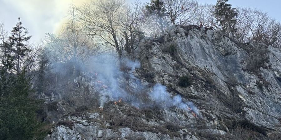 Wegen des Brands oberhalb von Riedern wurde ein Löschhelikopter aufgeboten.