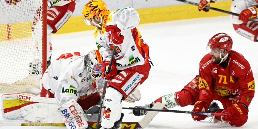 Biel Tigers National League