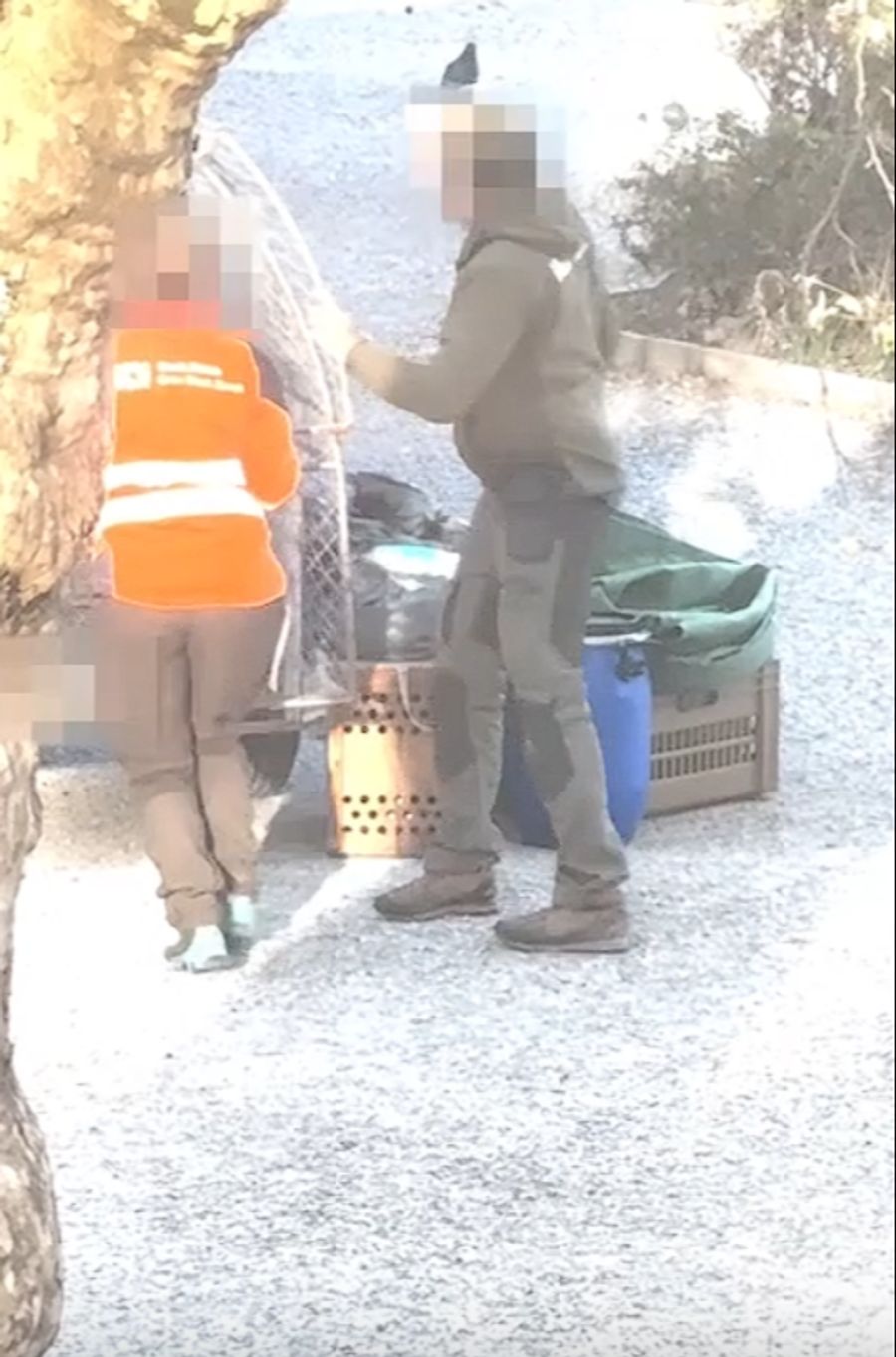 Und anschliessend verschwindet der Käfig – inklusive Tauben.