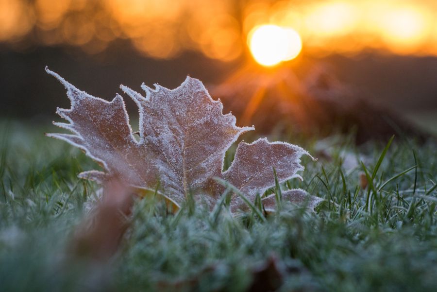 Bodenfrost, der ab unter fünf Grad auftreten kann, ist deshalb nochmals möglich.