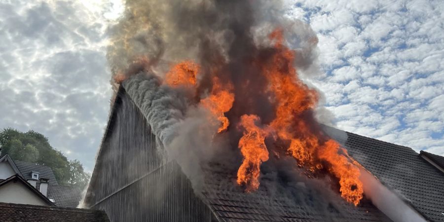 Brandausbruch in Einfamilienhaus