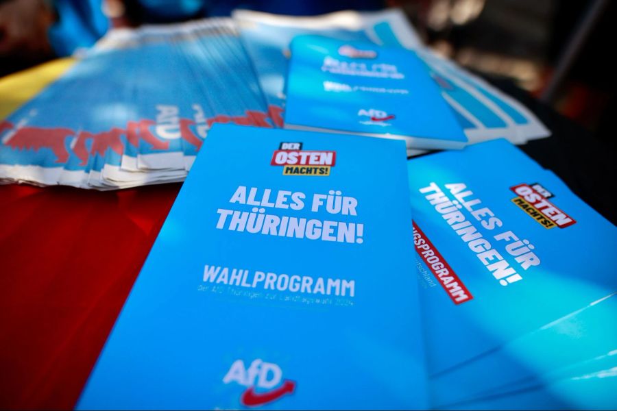 Wahlkampf AfD in Thüringen