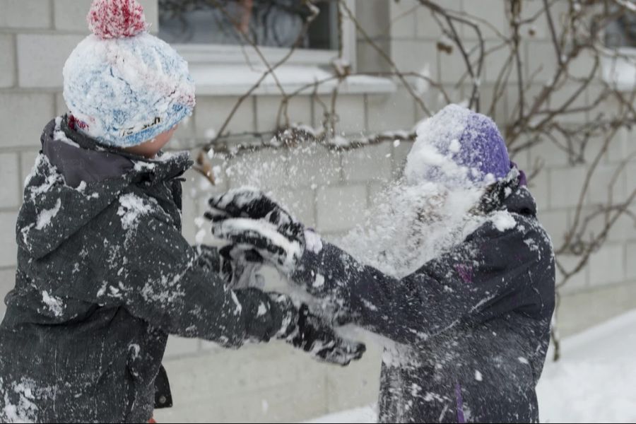 Bei Beschädigungen drohen die VBZ Schneeball-Vandalen mit der Polizei. (Archivbild)