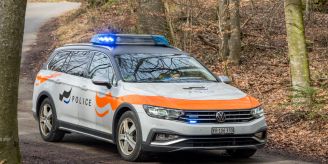 Wünnewil FR - Polizei sucht Zeugen nach Geldkistendiebstahl