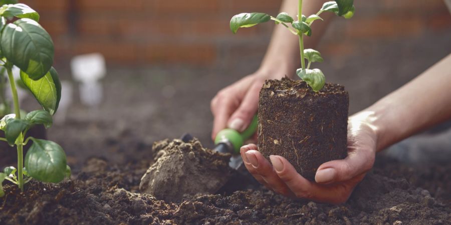 Gartenarbeit