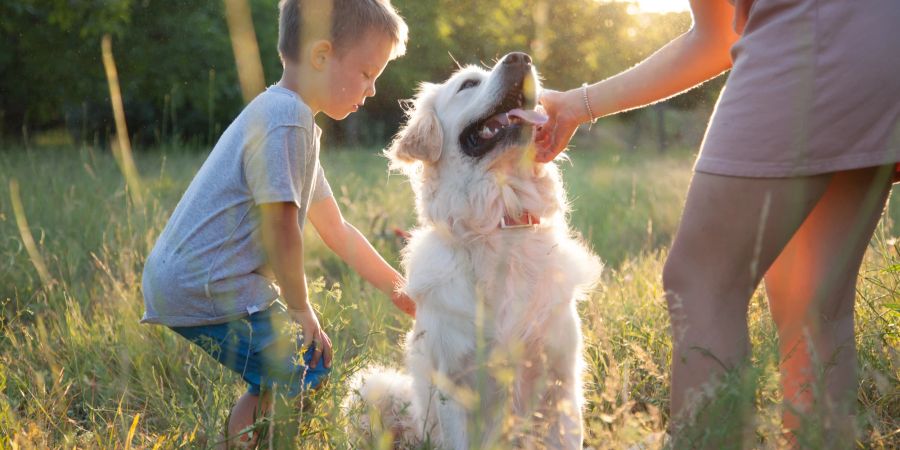 Hunde, Menschen