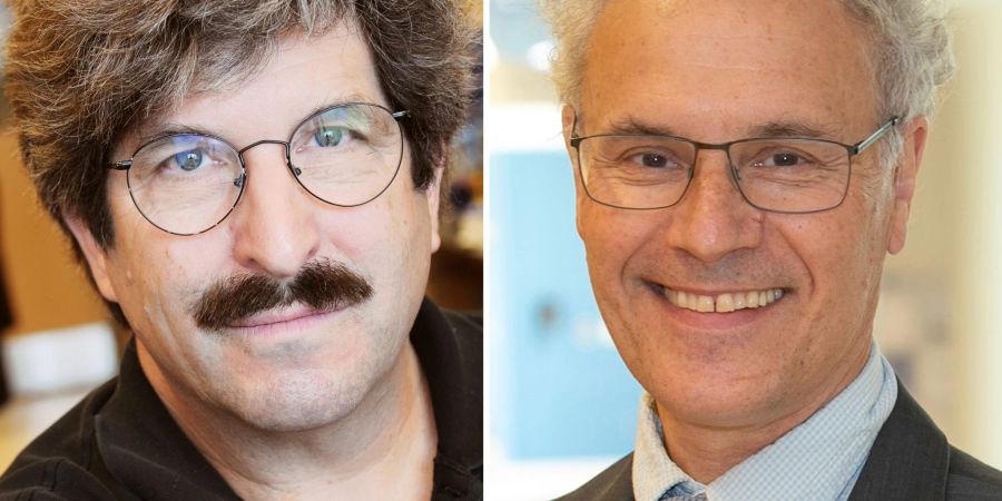 Diese Kombination von Bildern zeigt die US-Forscher Gary Ruvkun (l) und Victor Ambros. Der Nobelpreis für Medizin geht an sie für die Entdeckung der microRNA und ihrer Rolle bei der Genregulierung.