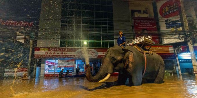 Fluten in Thailand - Mönch bringt Hilfsgüter mit Elefanten