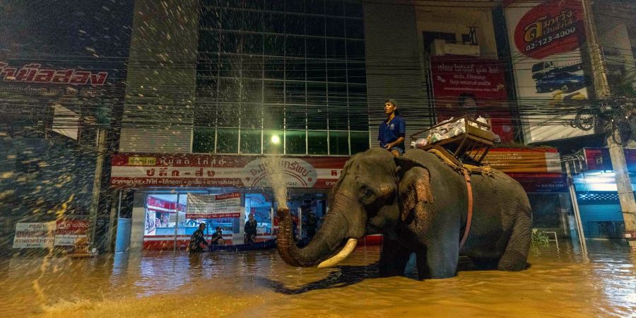 Überschwemmungen in Thailand