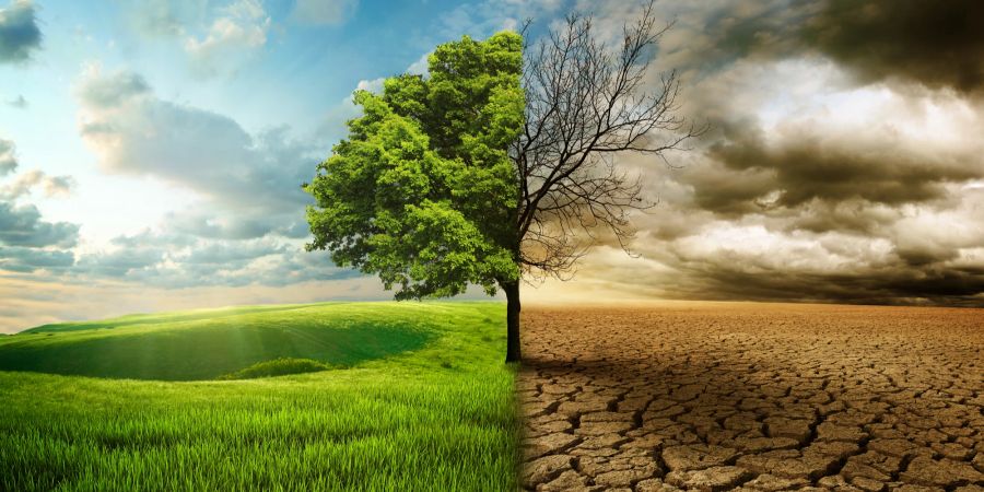 Klimawandel