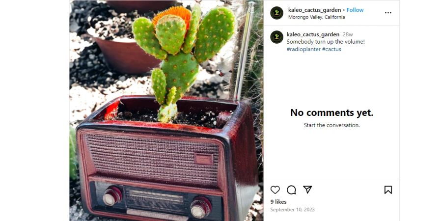 Instagram, DIY, Radio, Blumentopf, Kaktus