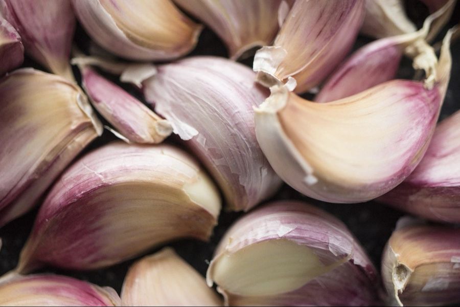 Ein Anwohner setzte auch Knoblauch gegen die Dachse ein – ohne Erfolg.