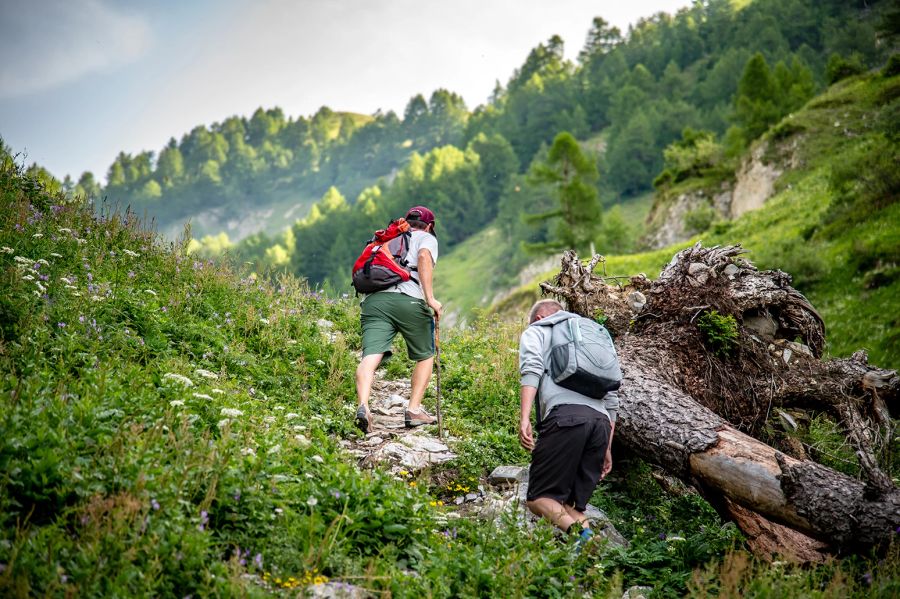 Wanderer Berg Hang grün