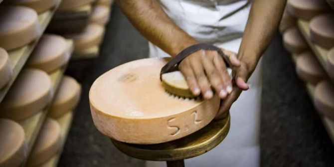Käse