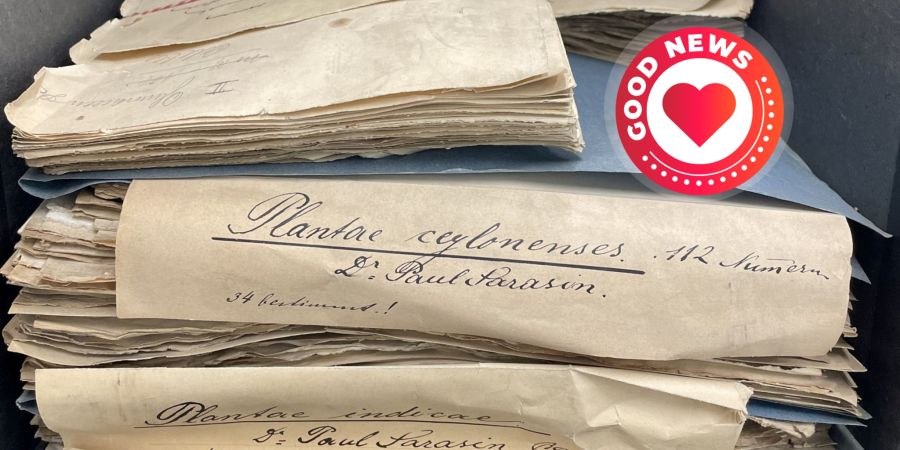 Taschenherbarien Basel gefunden verschollen