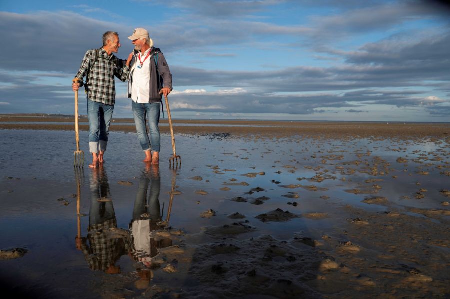 Wattwanderung Ostsee Schlickeria