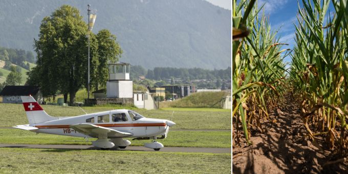 In Kölliken kam es im Maisfeld zu einer Notlandung von einem Kleinflugzeug. (Symbolbilder) Kleinflugzeug und Maisfeld