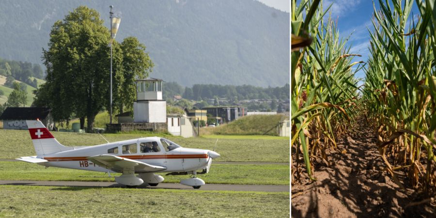 Kleinflugzeug und Maisfeld
