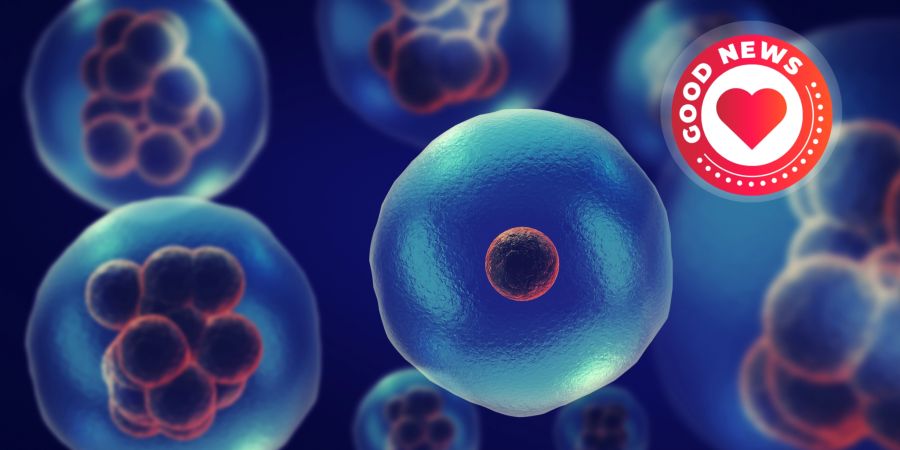 Genetische Störungen Zellen KI