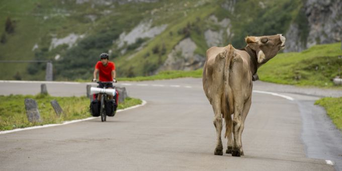 Der Klausenpass ist nach Murgängen für den Verkehr wieder freigegeben. (Archivbild) Klausenpass
