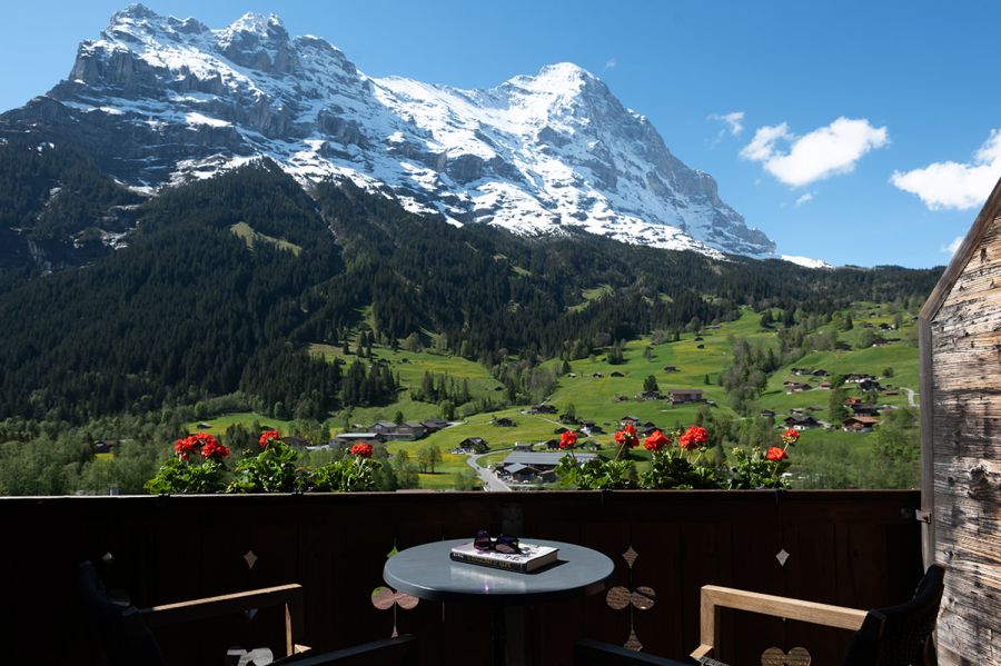 Gebirge Wald Terrasse Schnee