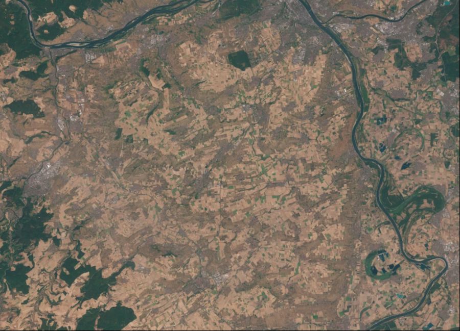 Satellitenaufnahmen zeigen das ausgetrocknete Gebiet südlich von Mainz in Deutschland im August 2026.