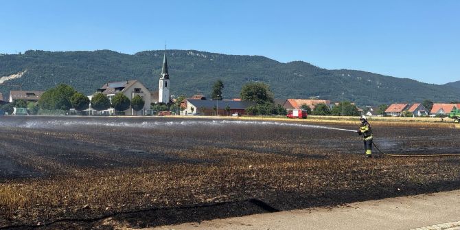 Stoppelfeldbrand Neuendorf