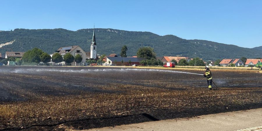 Stoppelfeldbrand Neuendorf