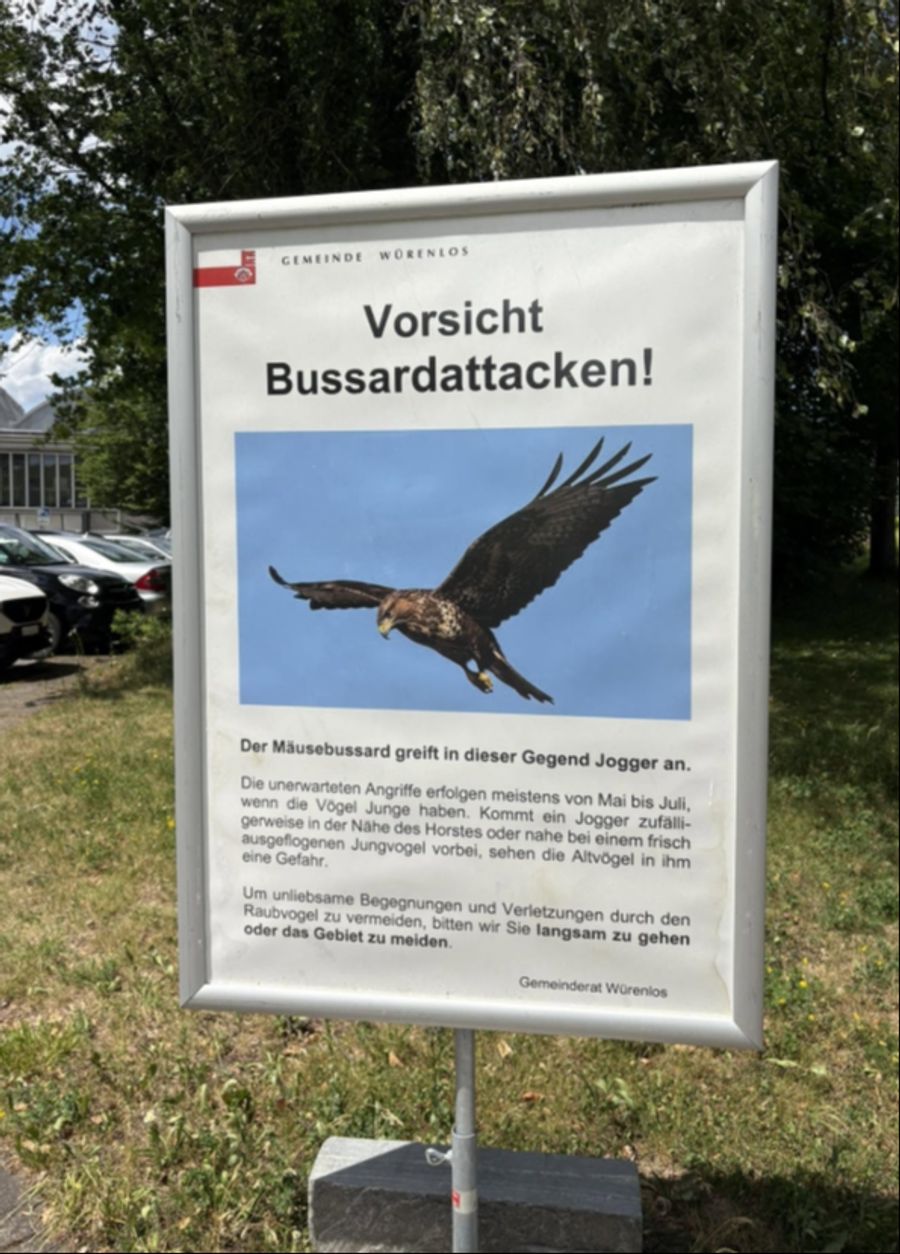 Dieses Schild, aufgestellt von der Gemeinde Würenlos, warnt ausdrücklich vor dem Mäusebussard
