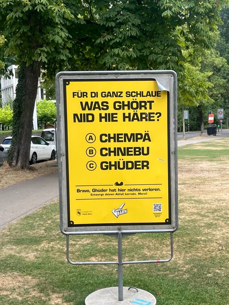 Ein halb ironisches Plakat der Kampagne an der Aare.