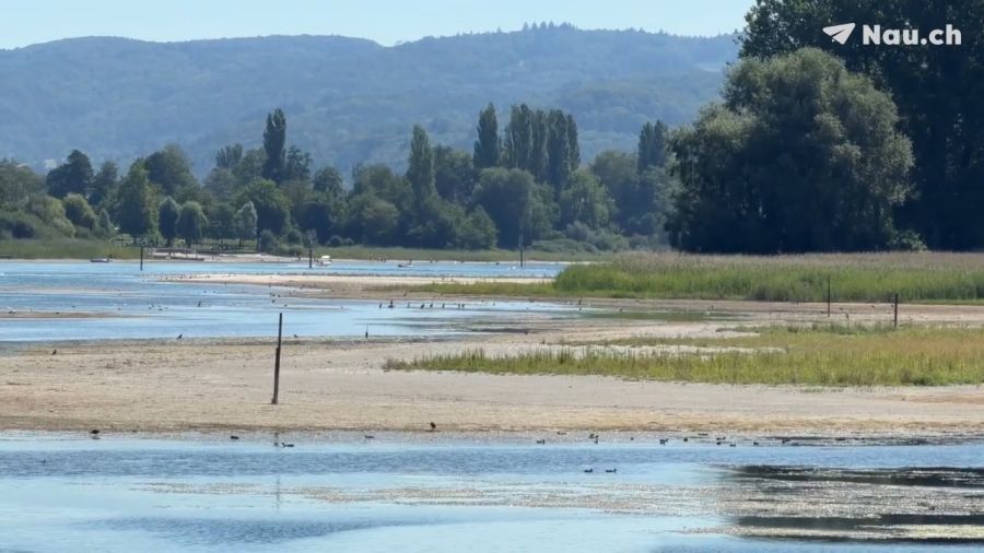 Der See leidet unter der Hitze und der Trockenheit sowie unter dem schneearmen Winter.