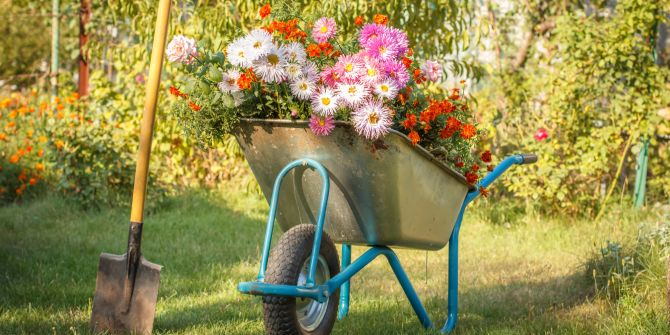 Schubkarre Karrette Blumen Frühling