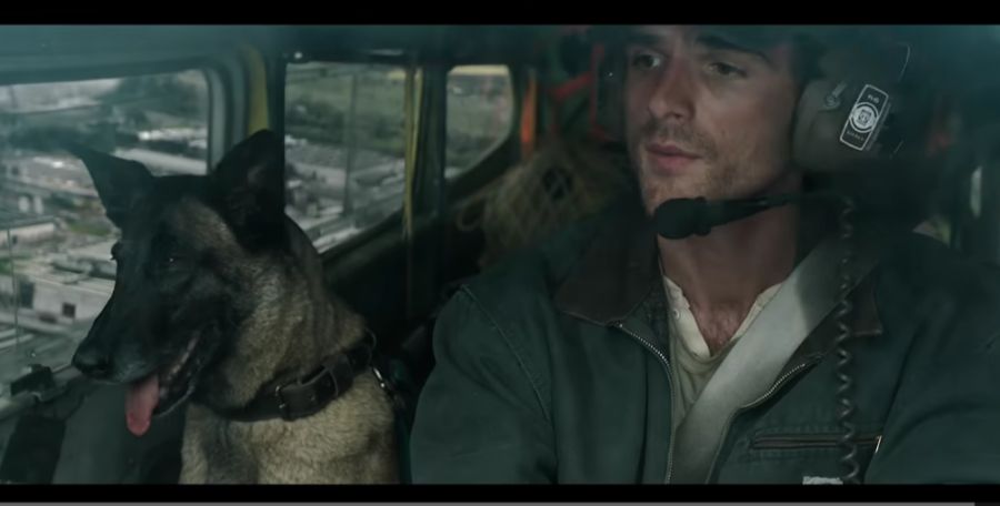 the dog stars