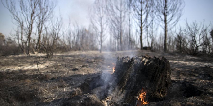 Waldbrand