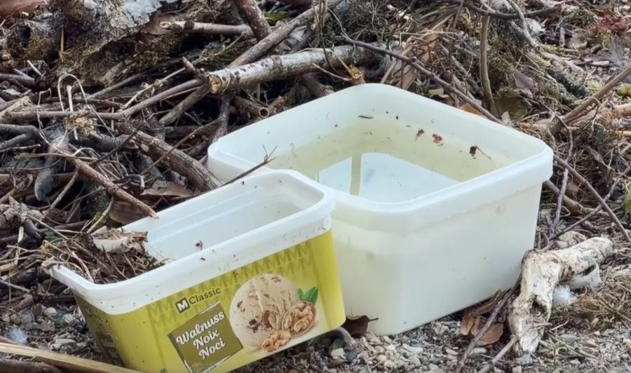 Dem brütenden Schwan fehlt es an nichts: Die Badi bietet Wasser-Service und sogar einen Sonnenschirm für angenehmen Schatten.