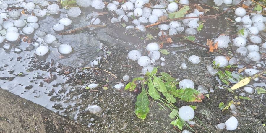 Winzern blutet das Herz