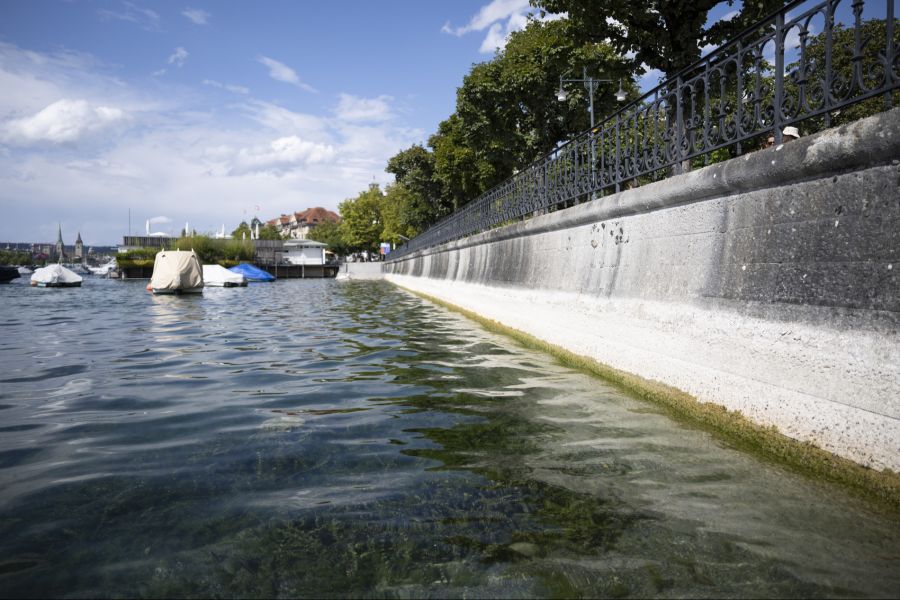 «Der Zürichsee wird daher auch die nächsten Tage auf stark unterdurchschnittlichem Niveau verbleiben», sagt das Bundesamt für Umwelt auf Anfrage.