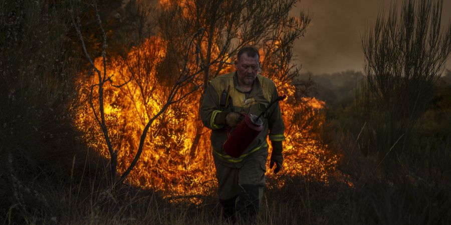 Waldbrand