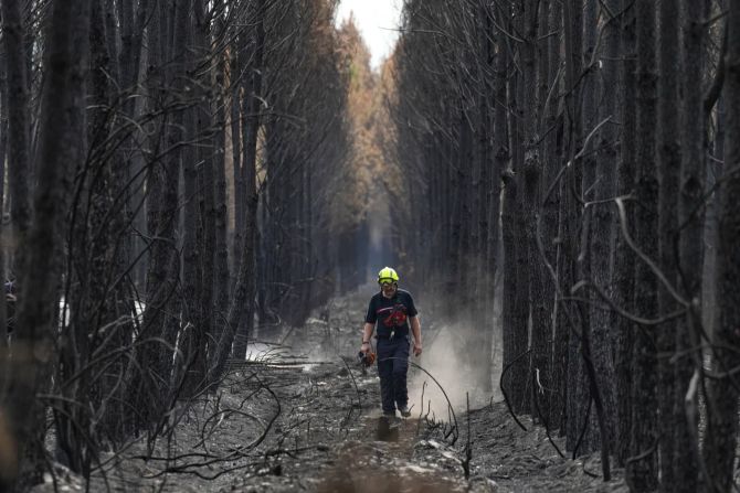 Waldbrand