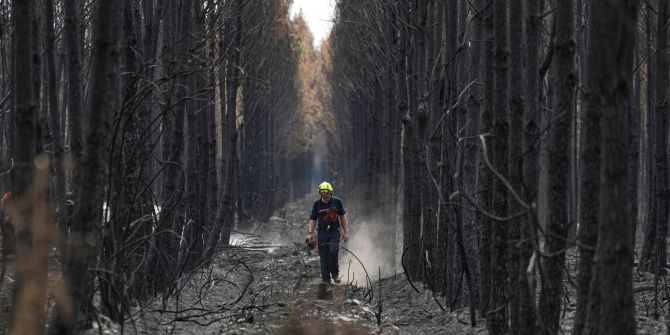 Waldbrand