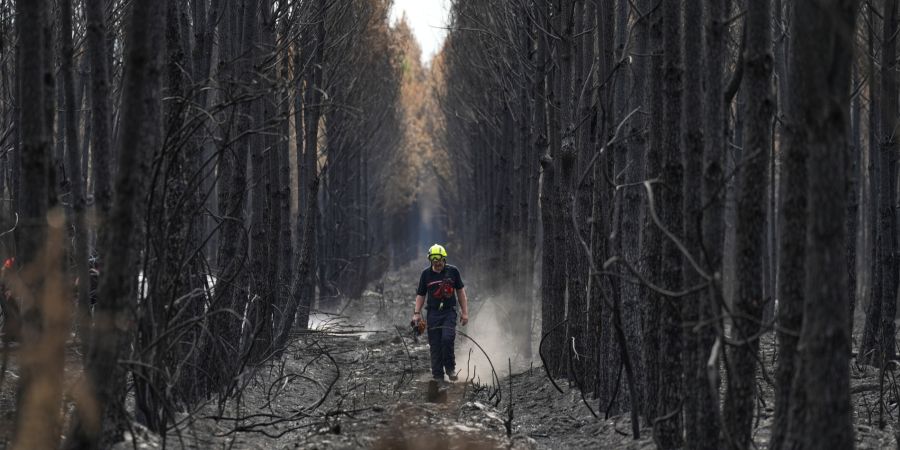 Waldbrand