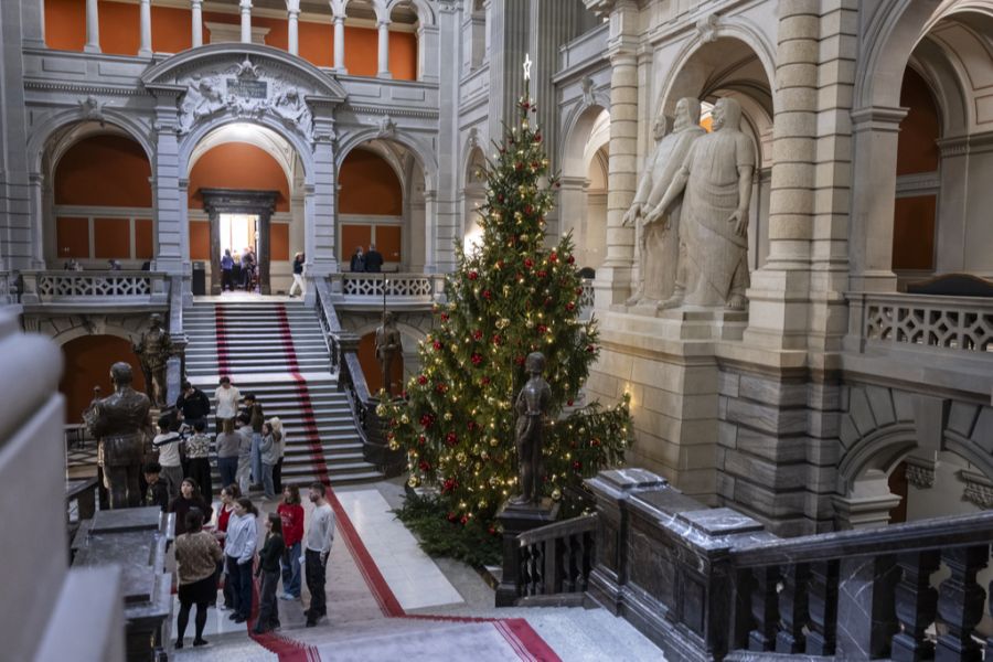 Zurück in der Schweiz setzt sich Neidhart für eine andere Auslegung der Neutralitätspolitik ein. (Symbolbild)