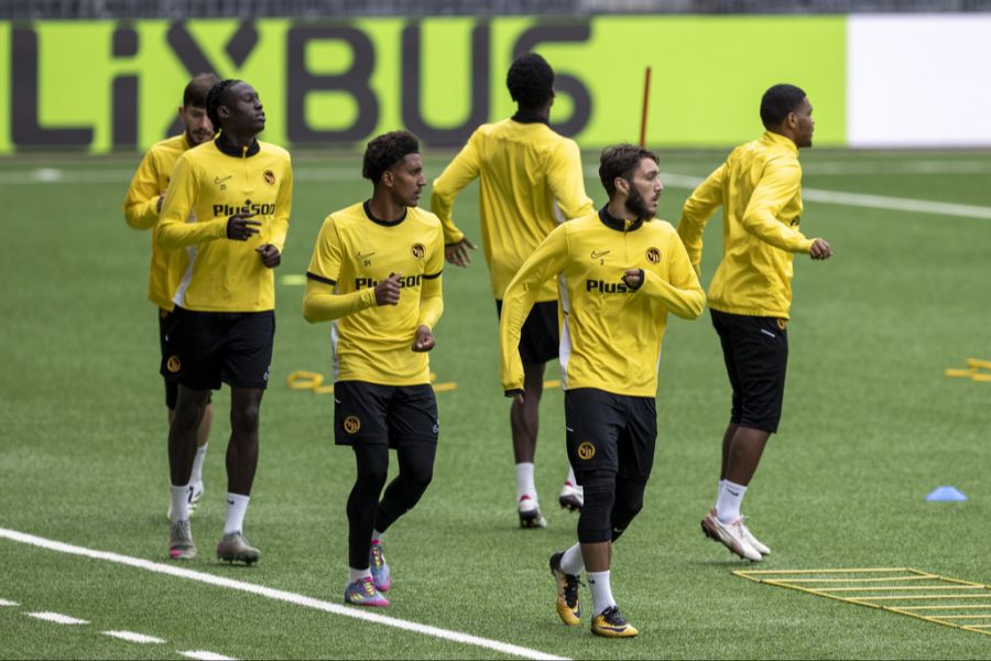 YB Europa League