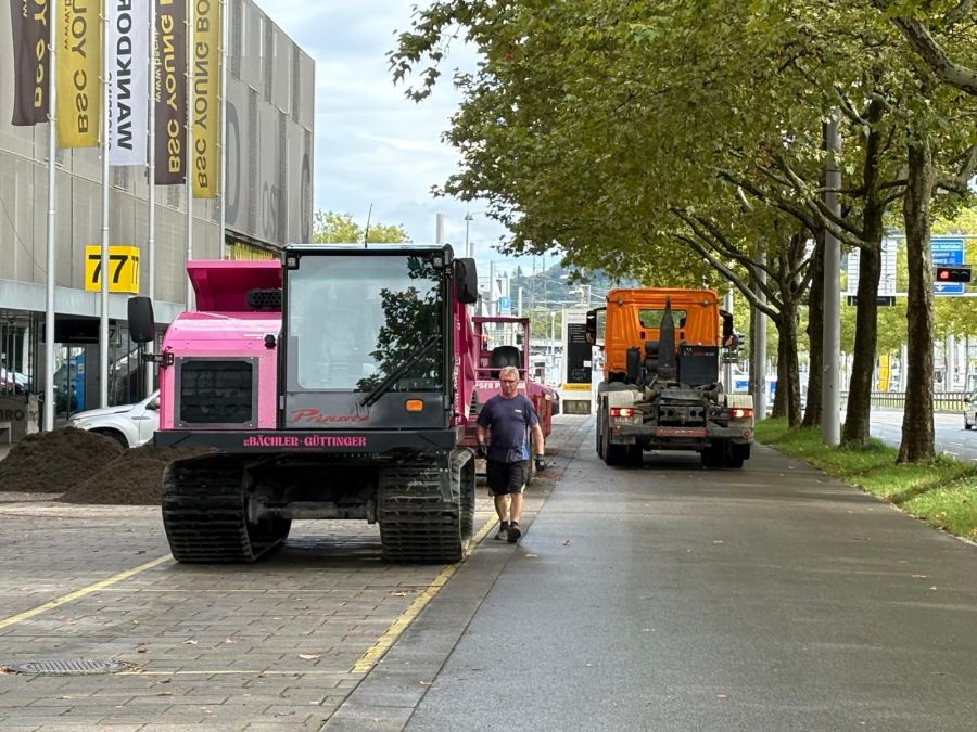 YB Wankdorf Naturrasen