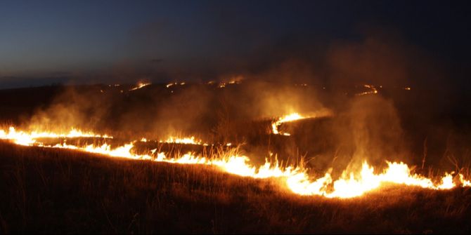 Flächenbrand