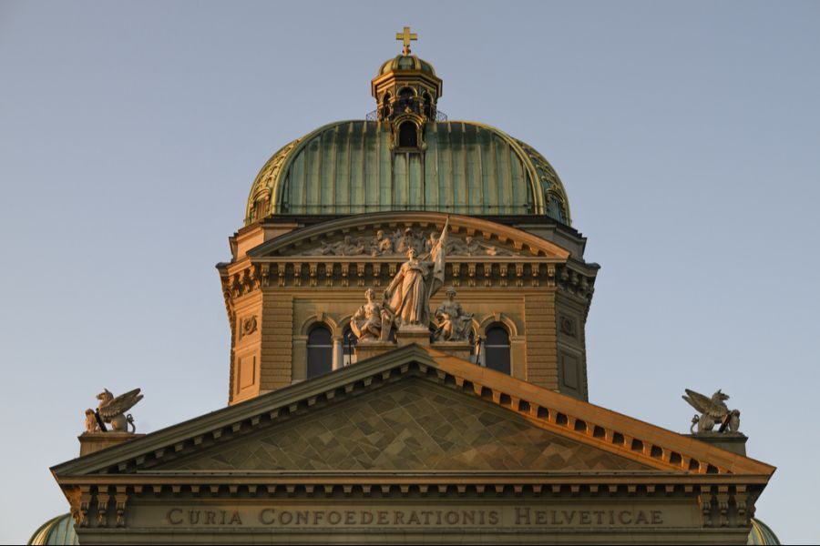 Der Bundesrat hält dies jedoch für problematisch.