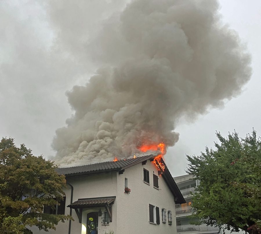 Die Feuerwehr konnte den Brand löschen.