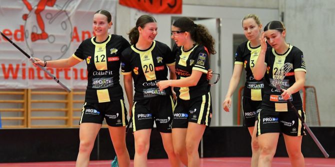 Wizards Bern Burgdorf