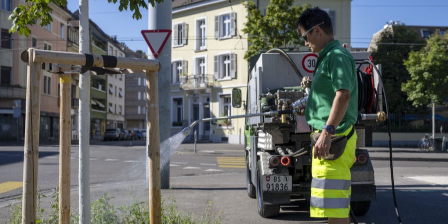 Basler Stadtgärtnerei