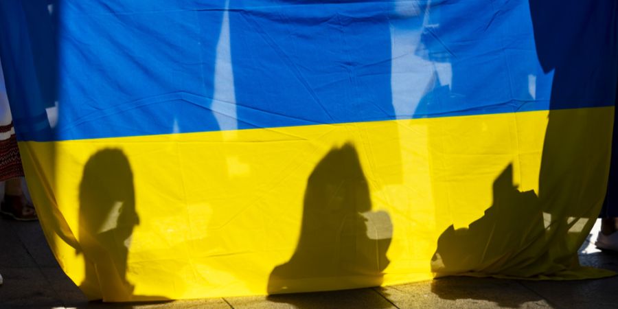 Ukraine Flagge Schatten